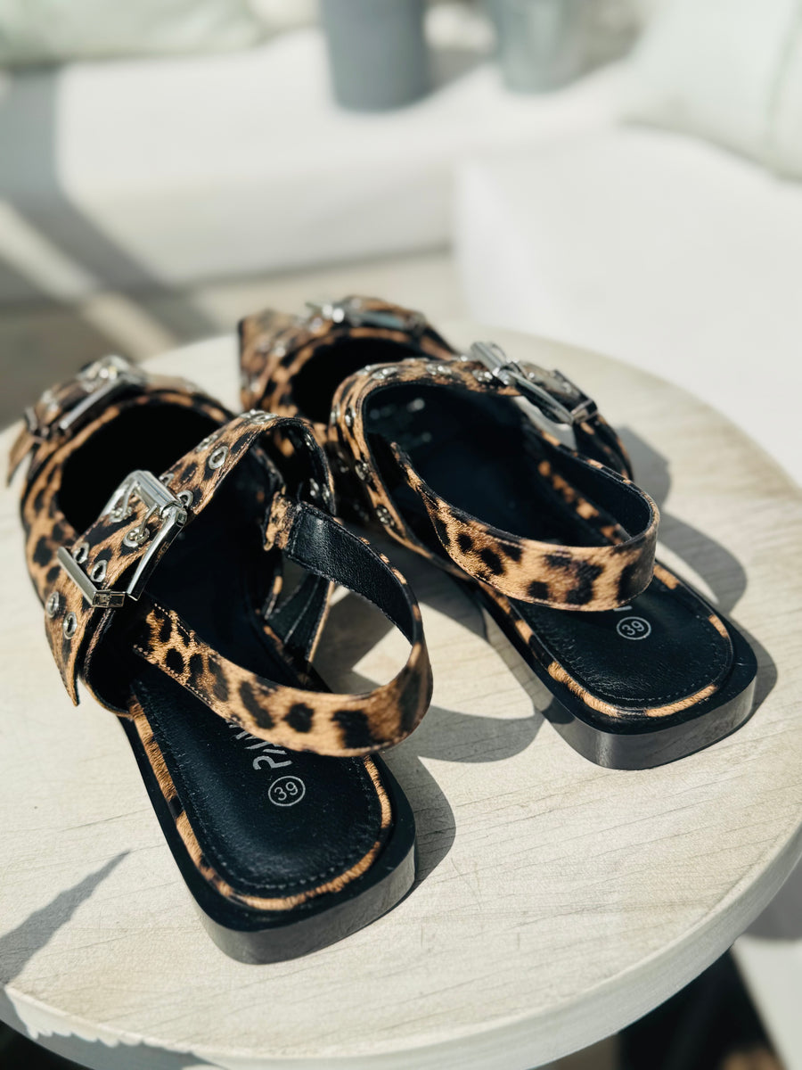 Zapato Abigail print
