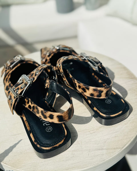 Zapato Abigail print