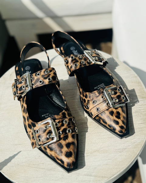 Zapato Abigail print