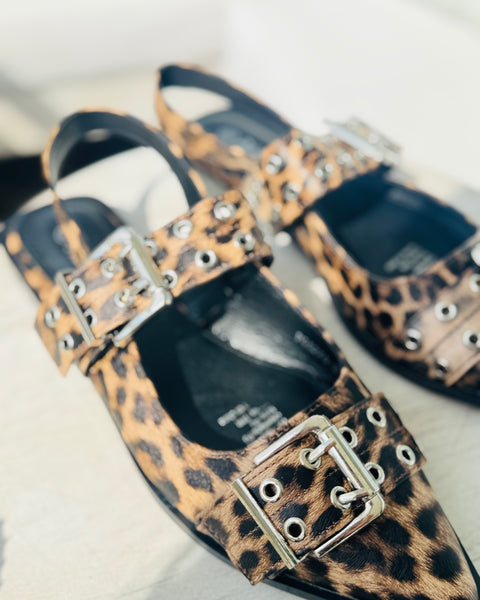 Zapato Abigail print
